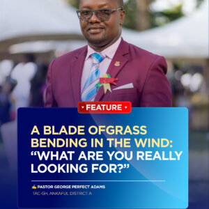 A Blade Of Grass Bending In The Wind:  “What Are You Really Looking For?”