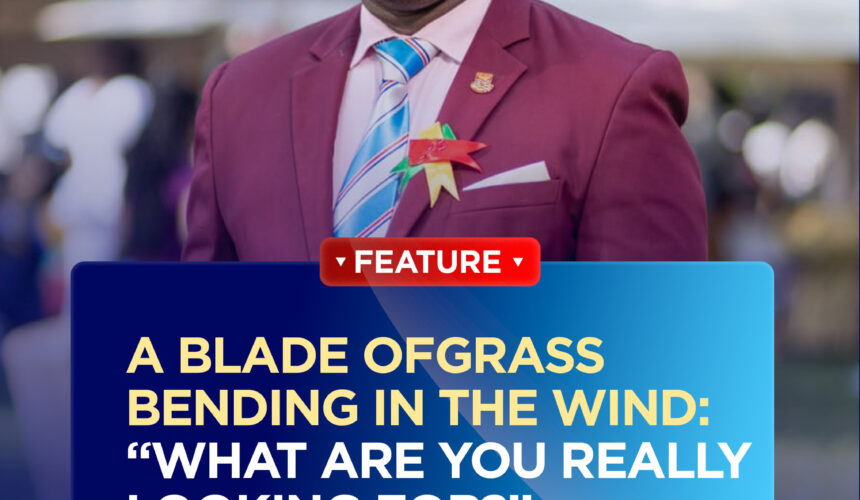 A Blade Of Grass Bending In The Wind:  “What Are You Really Looking For?”